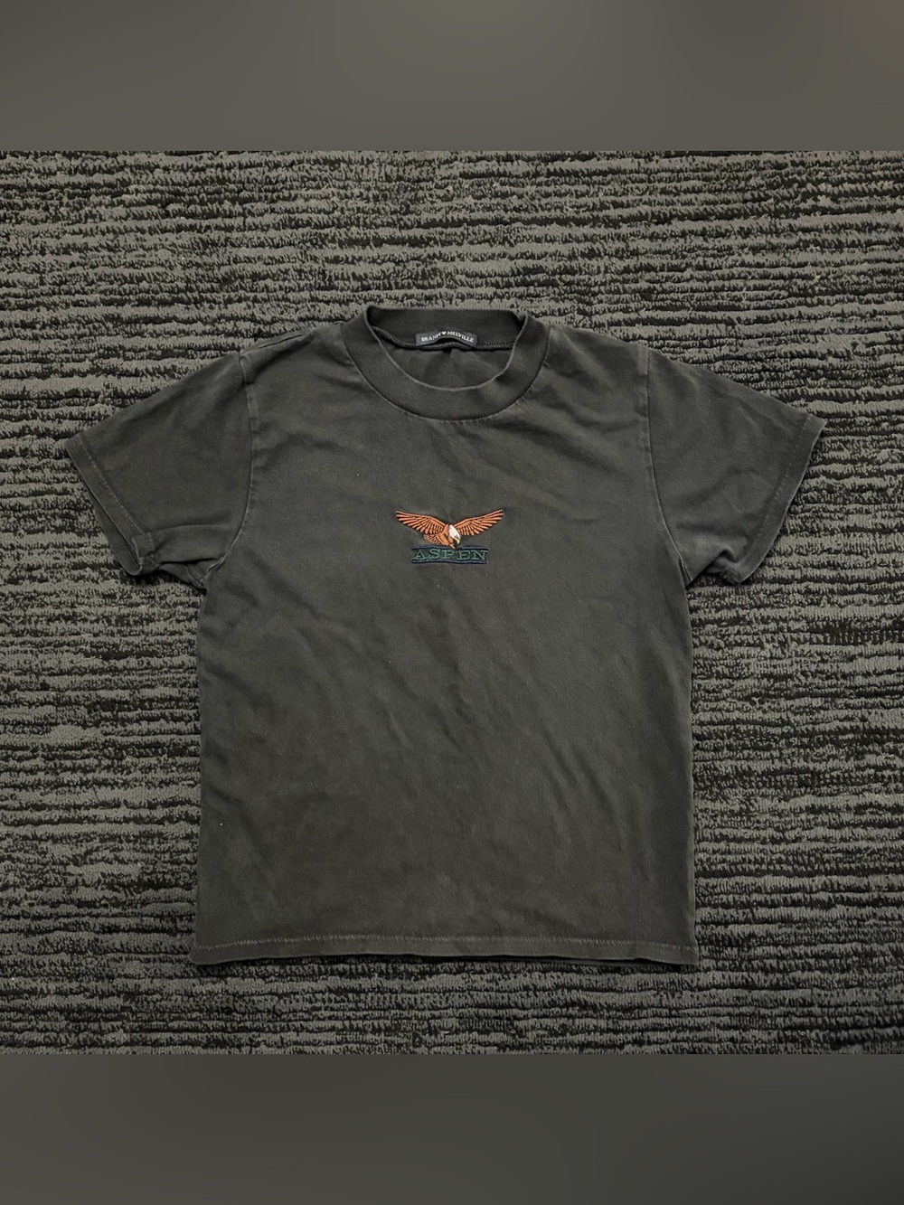 Brandy Melville Vintage wash eagle embroidered high neck baby tee